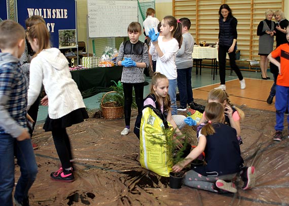 IX Woliskie Asy 2017