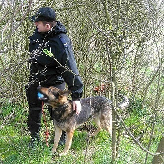 Dzielnicowi zatrzymali sprawcę kradzieży z włamaniem