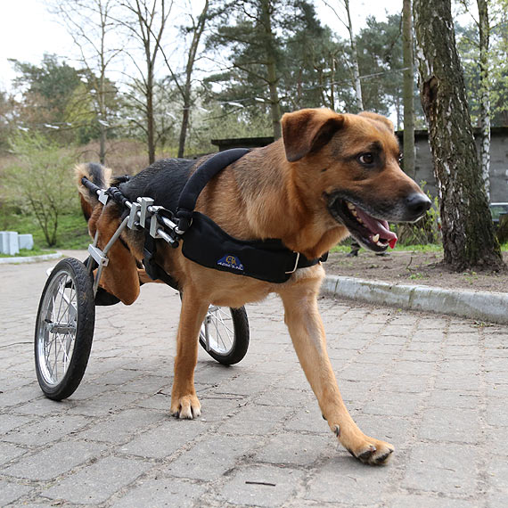 Do szczcia brakuje ju tylko pana. Zobacz film!