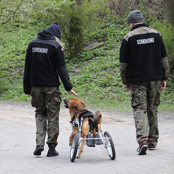 Do szczcia brakuje ju tylko pana. Zobacz film!