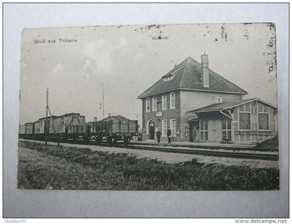 Pocigiem do Trzebieszewa i Jatek. I prawie do wica