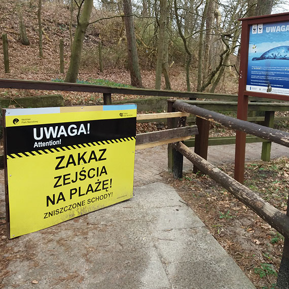 Burmistrz Wolina chce wspólnie zbudować nowe zejście na plażę w Wisełce