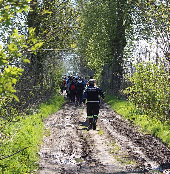 VI edycja Majowego Marszu po zdrowie – relacja