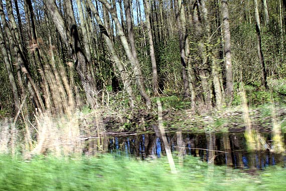 Bobry zagraaj drodze wojewdzkiej 102?