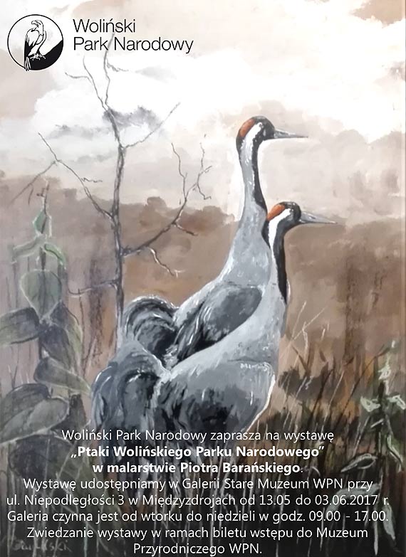Woliski Park Narodowy zaprasza na wystaw „Ptaki Woliskiego Parku Narodowego” w malarstwie Piotra Baraskiego
