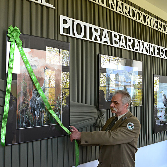 Ptaki na obrazach - wystawa malarstwa Piotra Baraskiego