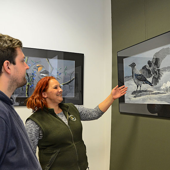 Ptaki na obrazach - wystawa malarstwa Piotra Baraskiego