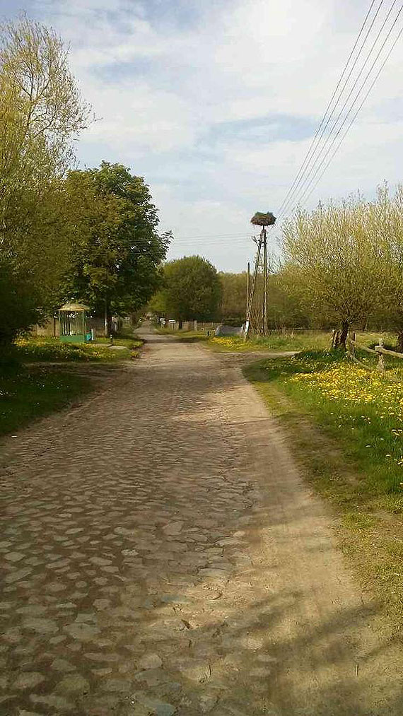 Nawet bocian nie wytrzyma - taka droga w Duniewie