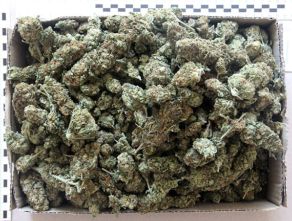 Awantura zako�czona zarzutami i aresztem za posiadanie narkotyk�w