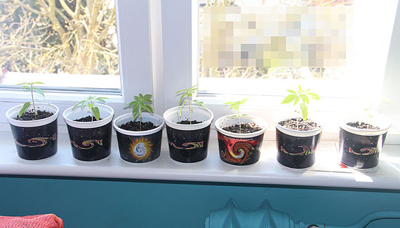 Awantura zako�czona zarzutami i aresztem za posiadanie narkotyk�w