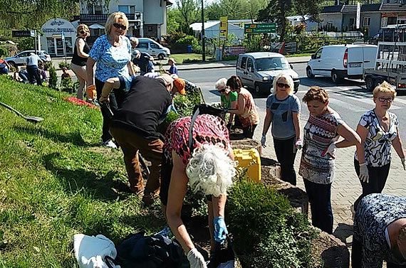Rewitalizacja skarpy przy ulicy gryfickiej