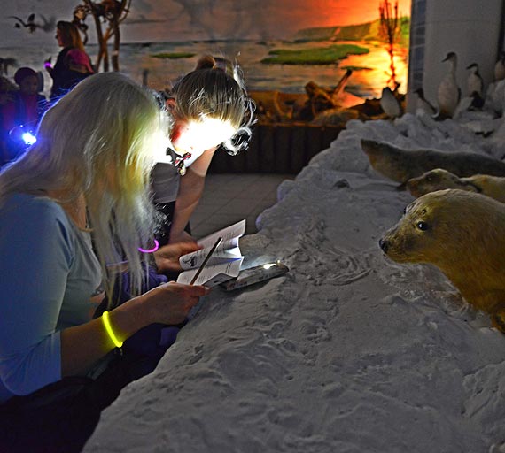 Nocna Przygoda w Muzeum Przyrodniczym WPN zgromadzia wielu uczestnikw. Zobacz film!
