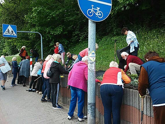 Rewitalizacja skarpy przy ulicy Gryfickiej II etap