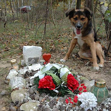 W ten dzie� odwiedzaj� tak�e groby ukochanych ps�w i kot�w