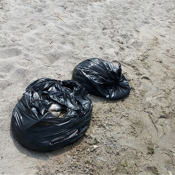 Urzdnicy przeprowadzili wizj lokaln na Jeziorze Wrzosowskim. Bd porzdkowa pla