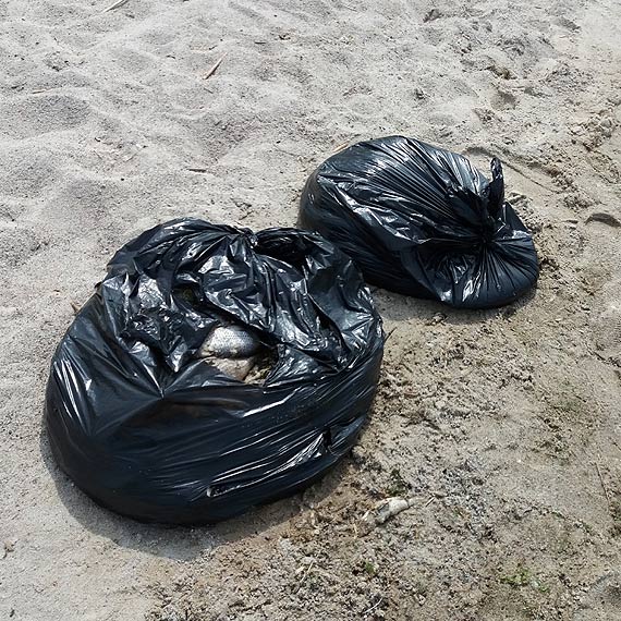 Martwe ryby obchodz tylko mieszkacw?