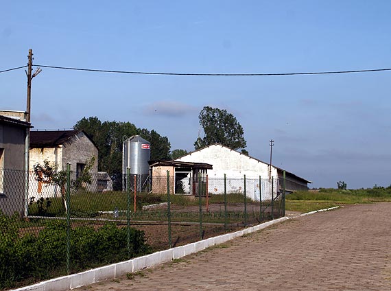 Rozprawa za czy przeciw... kurczakowi