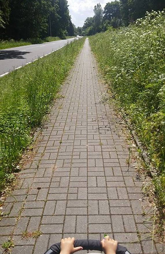 Drogówka zaspała z wykaszaniem? Kto pomoże odgadnąć jaka to miejscowość