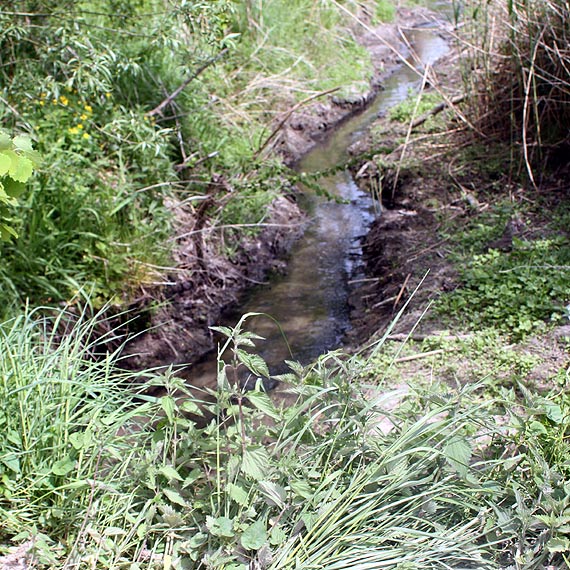 Adrian Guranowski: cieki odprowadzane z oczyszczalni s badane