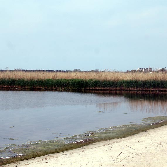 Adrian Guranowski: cieki odprowadzane z oczyszczalni s badane