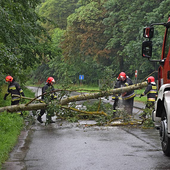 Wybrali się na wycieczkę rowerową, a na ich samochód spadło drzewo