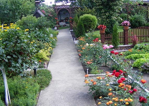 Kleszczowy zawrt gowy