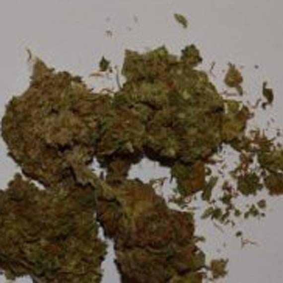 Turysta z Poznania przyjecha do Midzyzdrojw z narkotykami! 