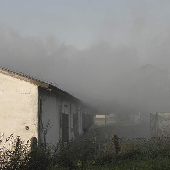 Czytelnik: „Spokj jest tylko jak nie maj maych kurczakw i nie pal"