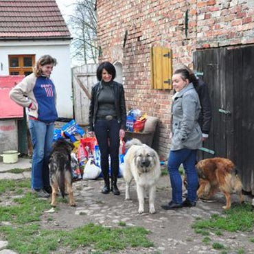 Wolontariusze KaDeKu z pomoc� zwierz�tom i pacjentom szpitala
