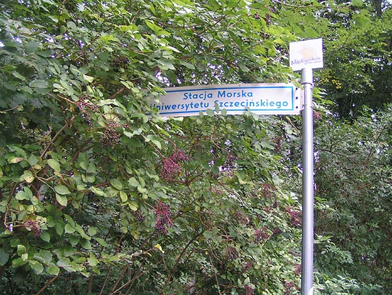 W trosce o bezpieczestwo turystw zbuduj zjazd na pla w Midzyzdrojach