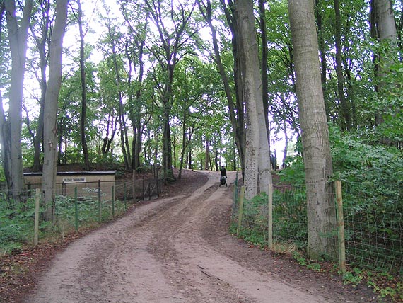 W trosce o bezpieczestwo turystw zbuduj zjazd na pla w Midzyzdrojach