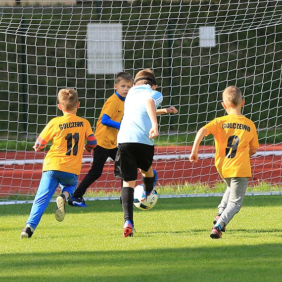 Ruszyy rozgrywki ligowe akw ZZPN