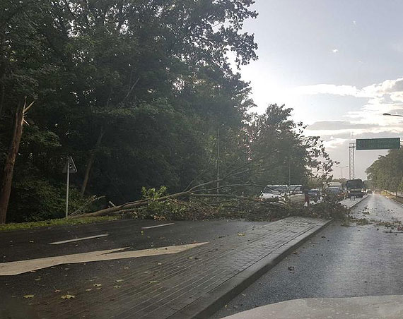 Zatarasowany wjazd do Midzyzdrojw