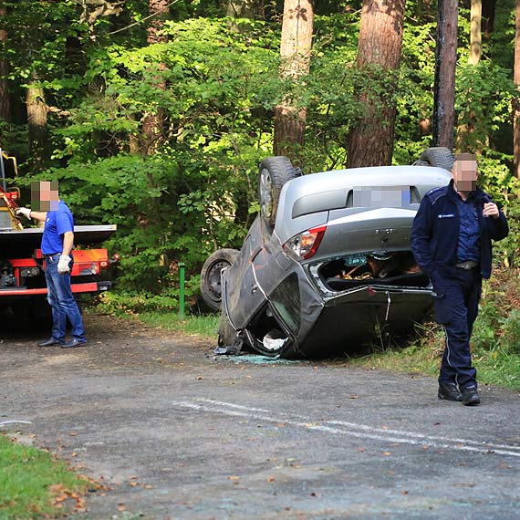 Renault dachowao na 102. Kierujca jechaa zbyt szybko!
