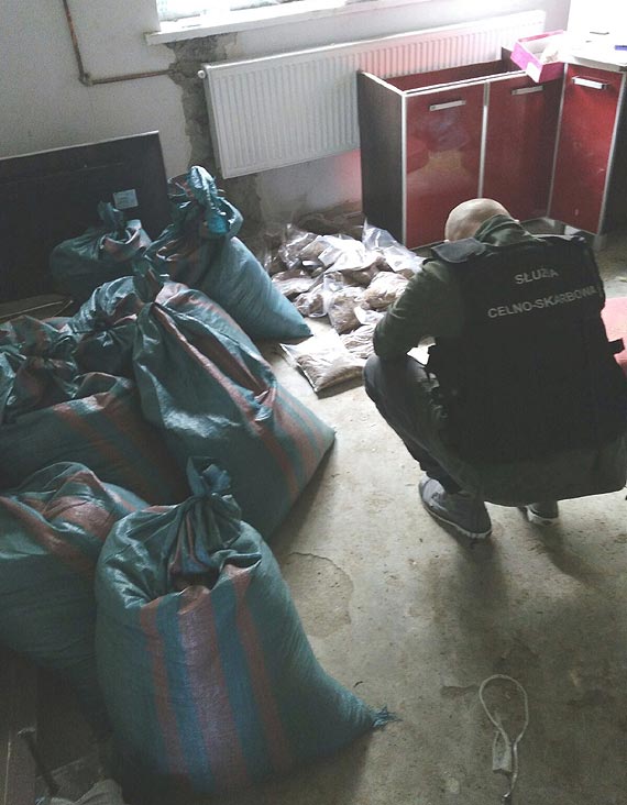 Nielegalny tyto� w powiecie koszali�skim