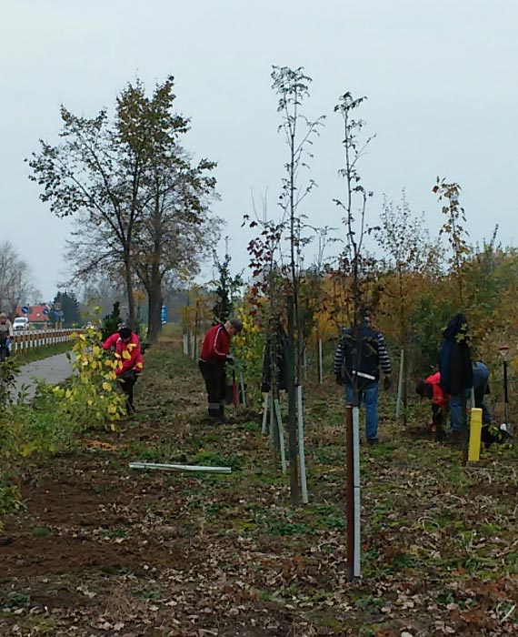 Jesienne prace SUTW przy ciece rowerowej Wrzosowo - Dziwnwek