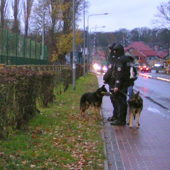 Kibice z Karlina jadcy na mecz do Kamienia Pomorskiego pobdzili w Gryficach