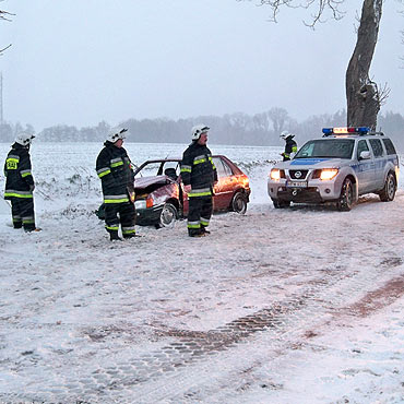 �wierzno: Fordem uderzy� w drzewo. Stra�acy wyci�gali agresywnego kierowc� 