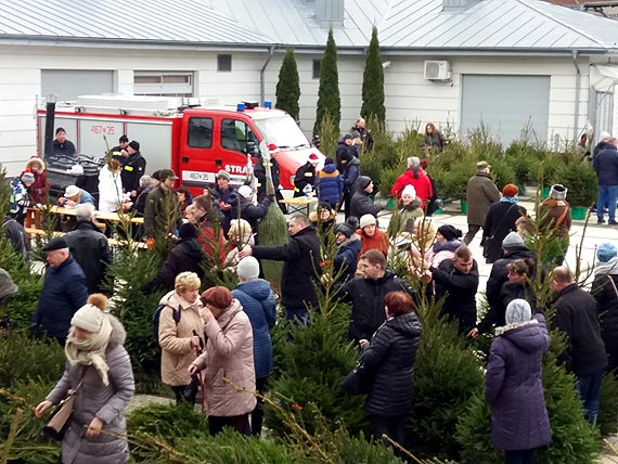 Midzyzdroje w przedwitecznym nastroju