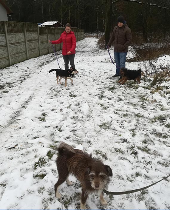 Wyjazd uczniw ZS w Benicach do schroniska w Sosnowicach