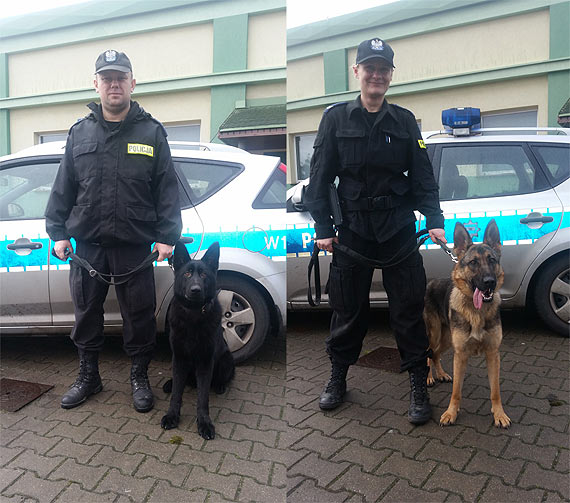 Sara i Aslan – nowe psy rozpocz�y szkolenie