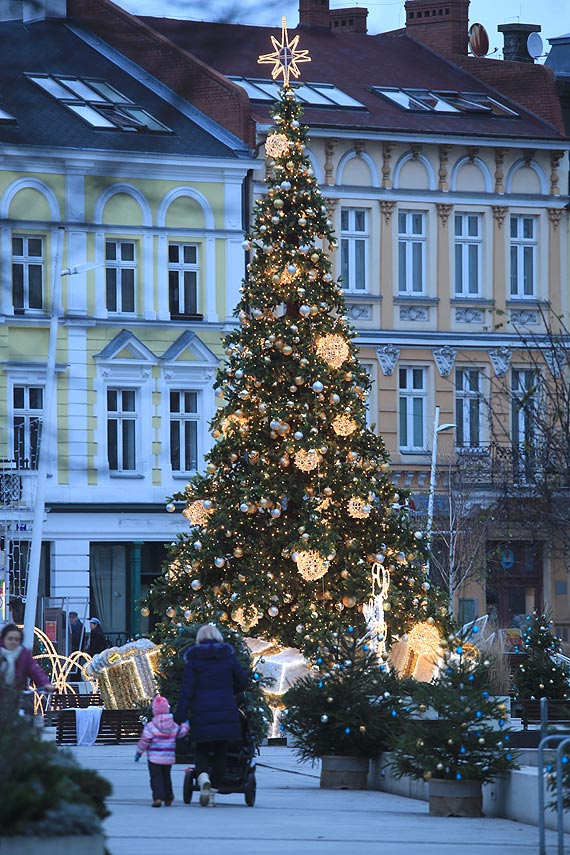 Magia wit, choinka i urzdniczka ratusza... 
