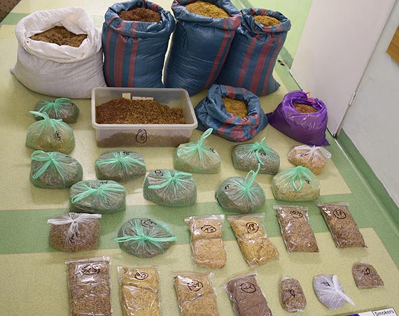 Policjanci z Wa�cza zabezpieczyli nielegalny tyto�