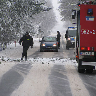 Drzewa �ami� si� pod naporem �niegu