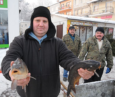 Karp najczęstszą potrawą na wigilijnym stole