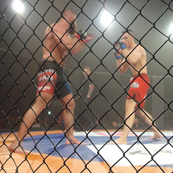Zawodnicy MMA to współcześni Gladiatorzy