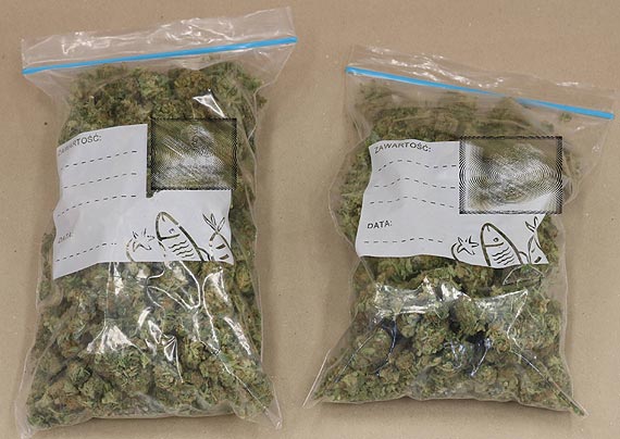 Policjanci zabezpieczyli znaczne ilo�ci narkotyk�w