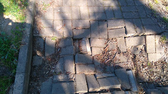 Czytelnik ostrzega uytkownikw przed ciek rowerow z Unina do Midzywodzia