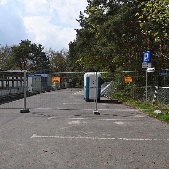 Wycinka drzew pod inwestycje na kocu promenady w Midzyzdrojach