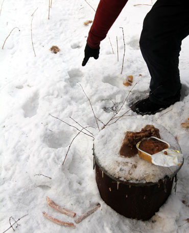 Zamykaj� si� przed tajemnicz� besti� w bunkrze!